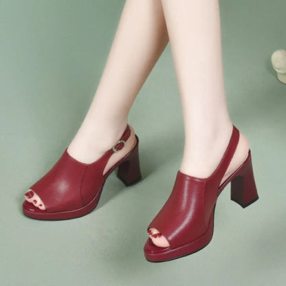 gid://shopify/MediaImage/24956962963550